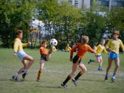 0DIA 1984 RAVA PUPS 1
